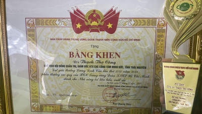 Thanh niên làm kinh tế giỏi