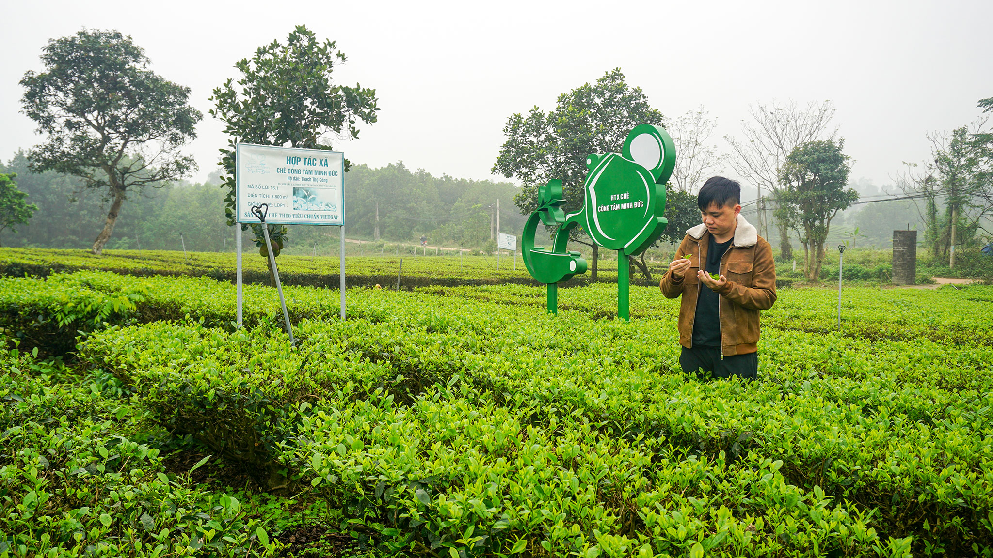 THANH NIEN 1